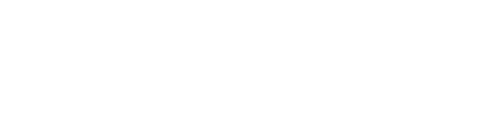 Bamboo Nine logo.