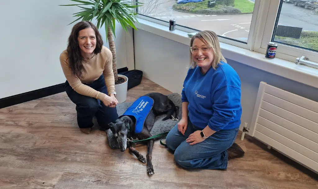 NAWT and rescue dog Alma visiting Mediahawk office to introduce the charity.